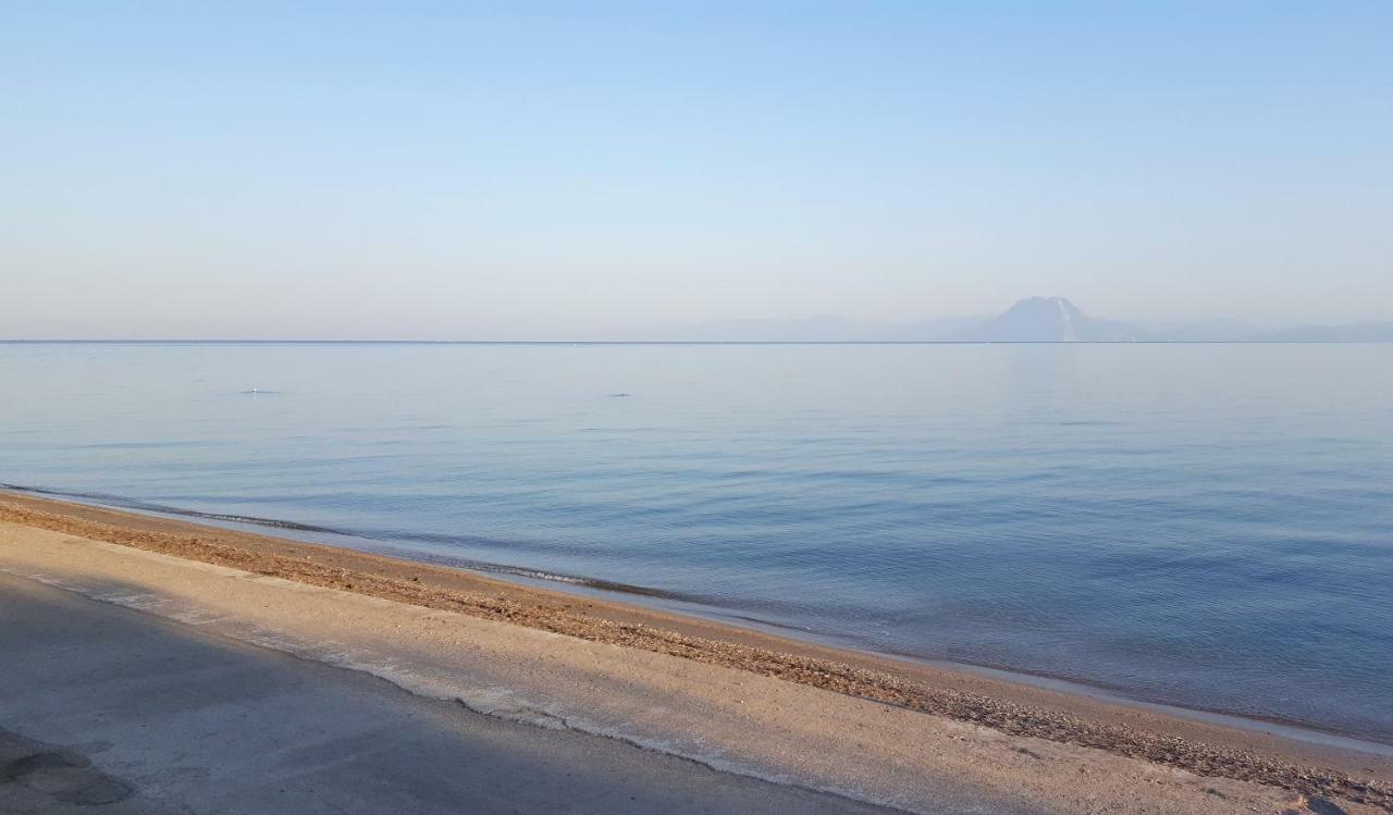 הוילה Patras Luxury Seaside House מראה חיצוני תמונה